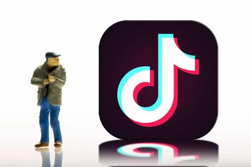 抖音爆料金吉鸟视频,金吉鸟视频背后的精彩故事 第2张 抖音爆料金吉鸟视频,金吉鸟视频背后的精彩故事 第2张